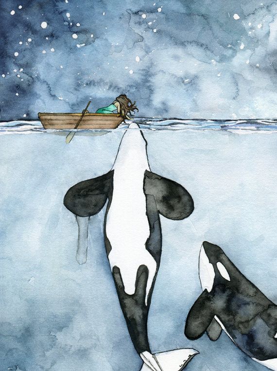 570x764 Orca Painting, Watercolor Painting, Whale Painting, Orca And Girl - Orca Whale Watercolor