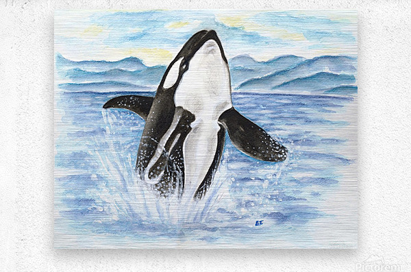 600x397 Orca Whale Breaching Watercolor - Orca Whale Watercolor