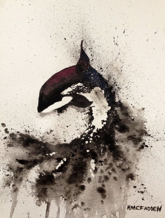 570x750 Watercolor Orca Killer Whale Original Artwork Painting Orca - Orca Whale Watercolor
