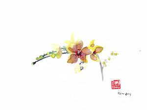 300x225 Orchid Red Yellow Pink Purple Flower Flowers Petals Gardens - Orchid Paintings Watercolor