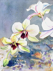 225x300 Orchid Watercolor Paintings Fine Art America - Orchid Paintings Watercolor