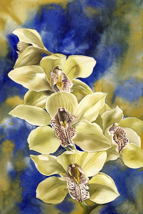 600x897 Orchid Watercolor Paintings On Behance - Orchid Paintings Watercolor