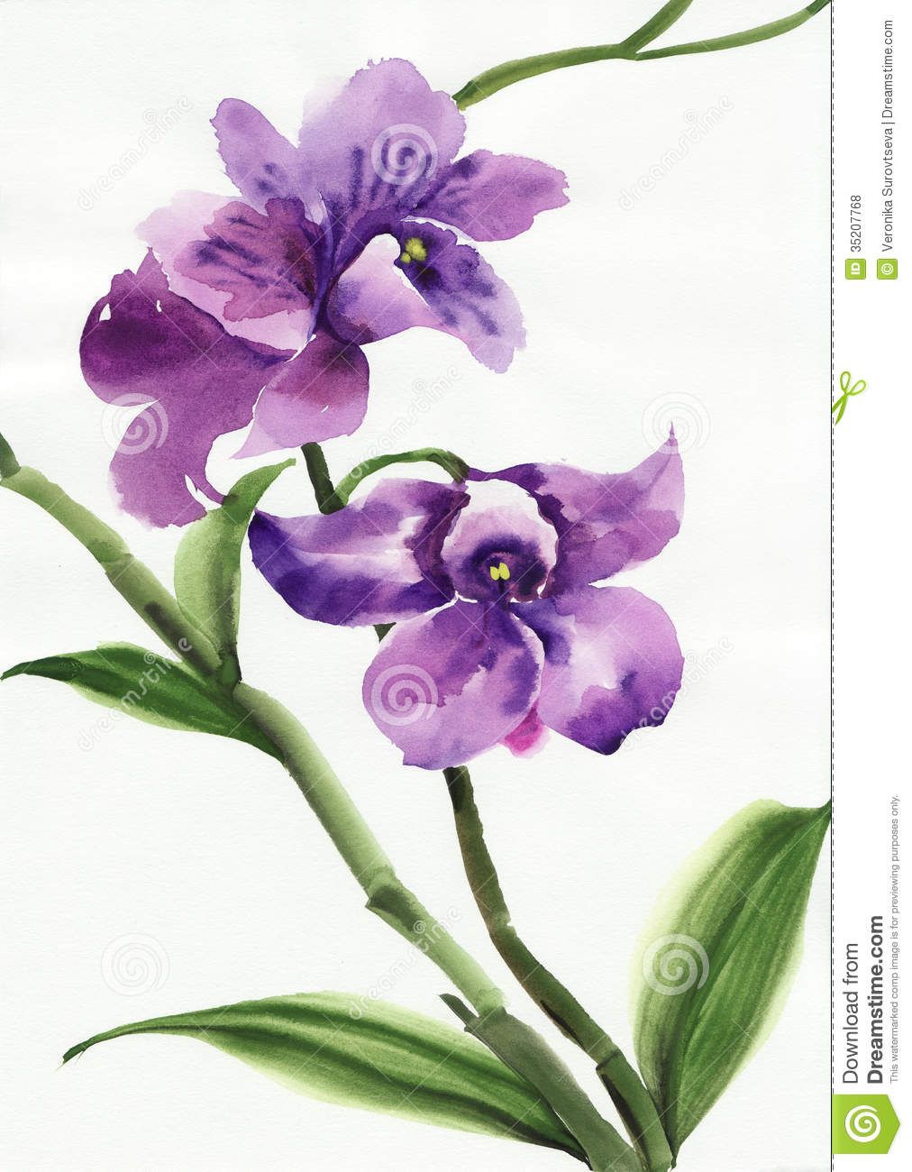 1012x1300 Pin By Terri Dawson On Flower Paintings Simple - Orchid Paintings Watercolor