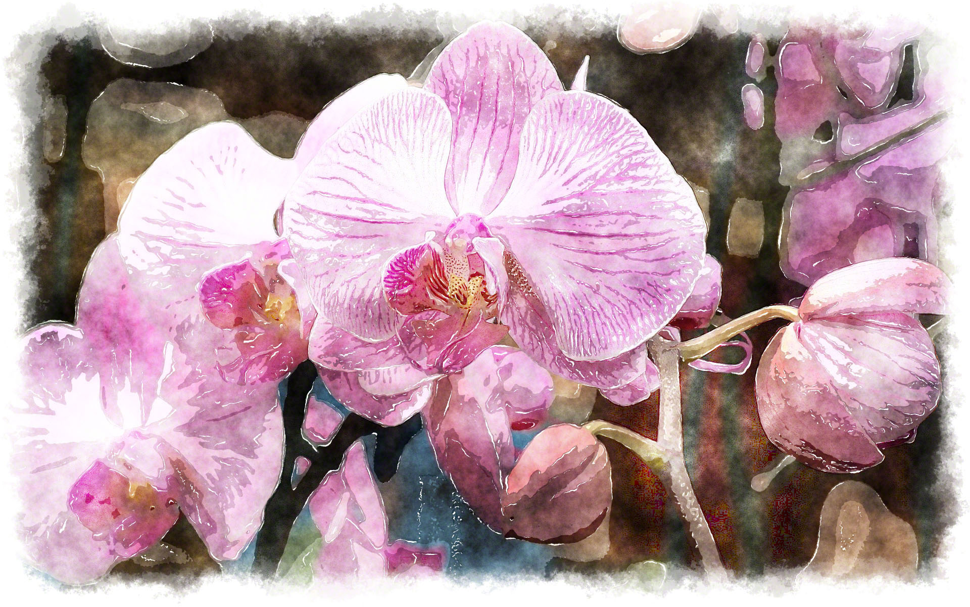 1920x1201 Watercolor Orchids, Watercolor Paintings Of Beautiful Orchids - Orchid Paintings Watercolor