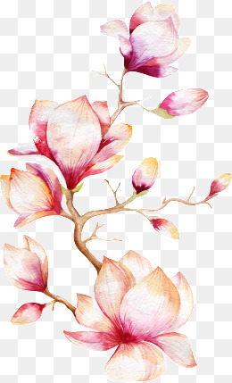 260x429 Orchid Png, Vectors, Psd, And Clipart For Free Download Pngtree - Orchid Watercolor
