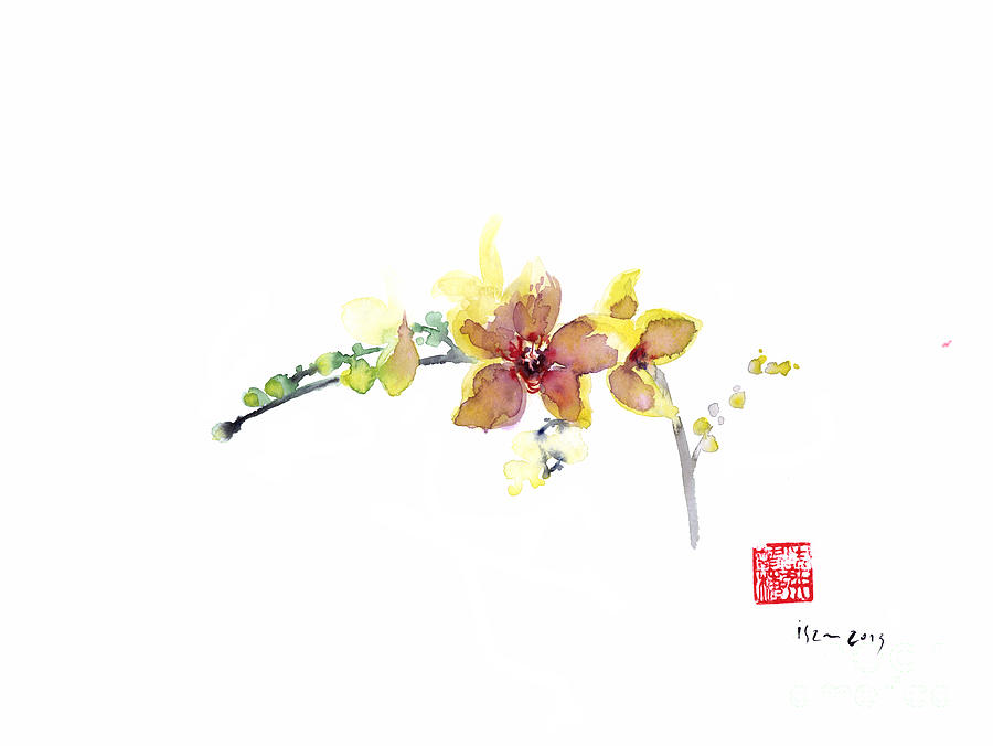 900x676 Orchid Red Yellow Pink Purple Flower Flowers Petals Gardens - Orchid Watercolor