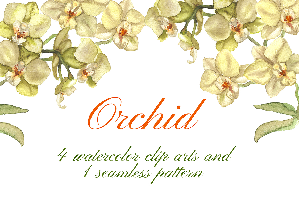 1160x772 Orchid Watercolor Cliparts Amp Pattern By Svetlana Prikhnenko - Orchid Watercolor