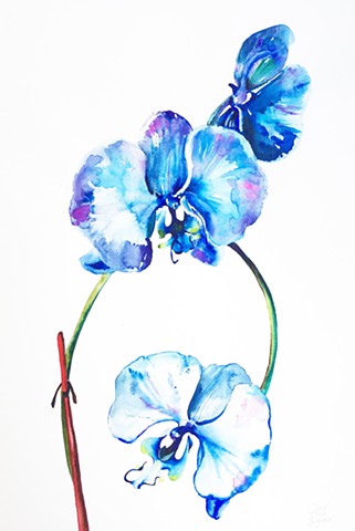 321x480 Qing Song - Orchid Watercolor