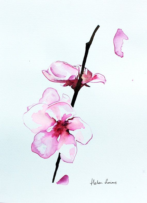 570x786 Original Watercolour Orchid Flower Painting By Helenillustration - Orchid Watercolor