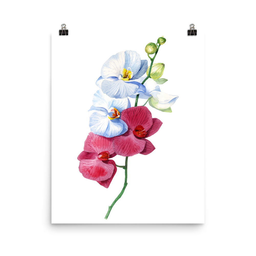 1000x1000 Floral Watercolour Orchid Matte Poster Lovelyeventscrafts - Orchid Watercolor