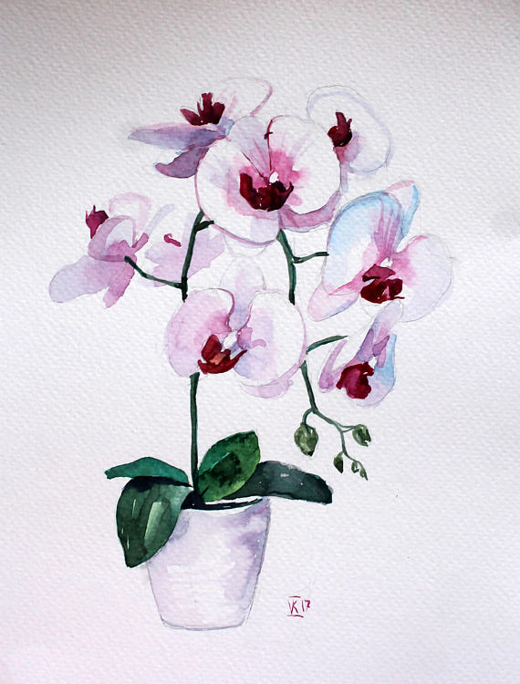 570x750 Flower Fine Art Orchid Watercolor Art Original Watercolor - Orchid Watercolor