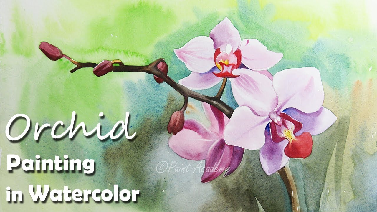 1280x720 How To Paint Orchid Flower In Watercolor - Orchid Watercolor