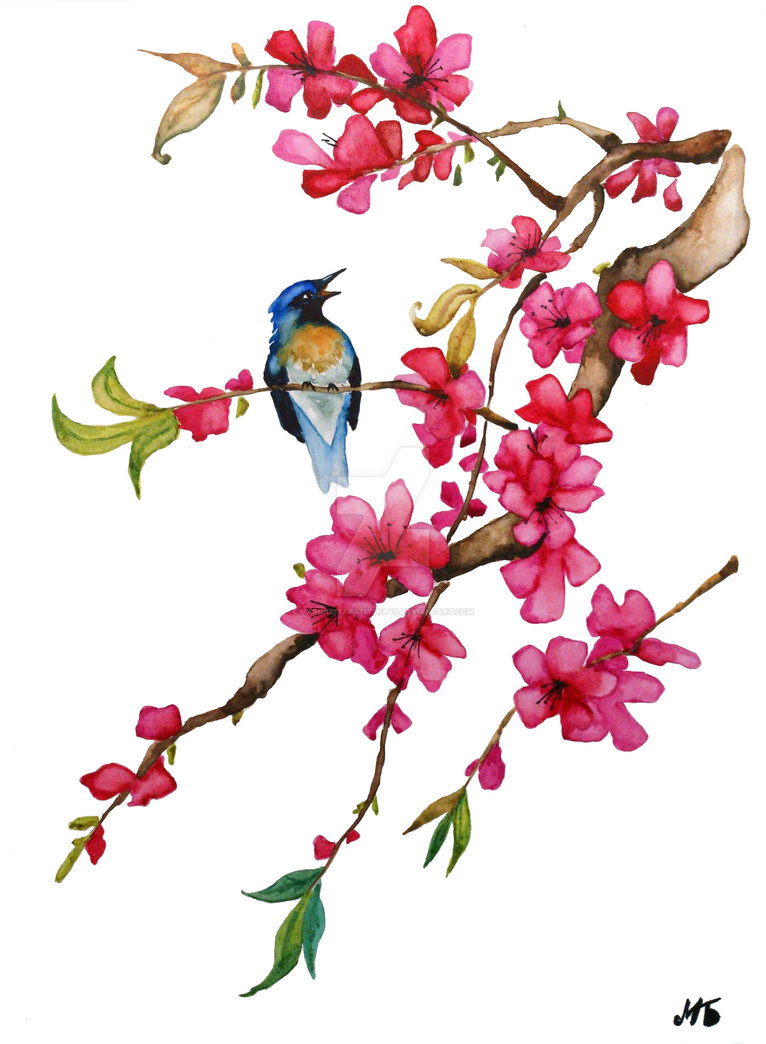 766x1044 Chinese Watercolor. A Flower Of Oriental Cherry. By - Oriental Watercolor