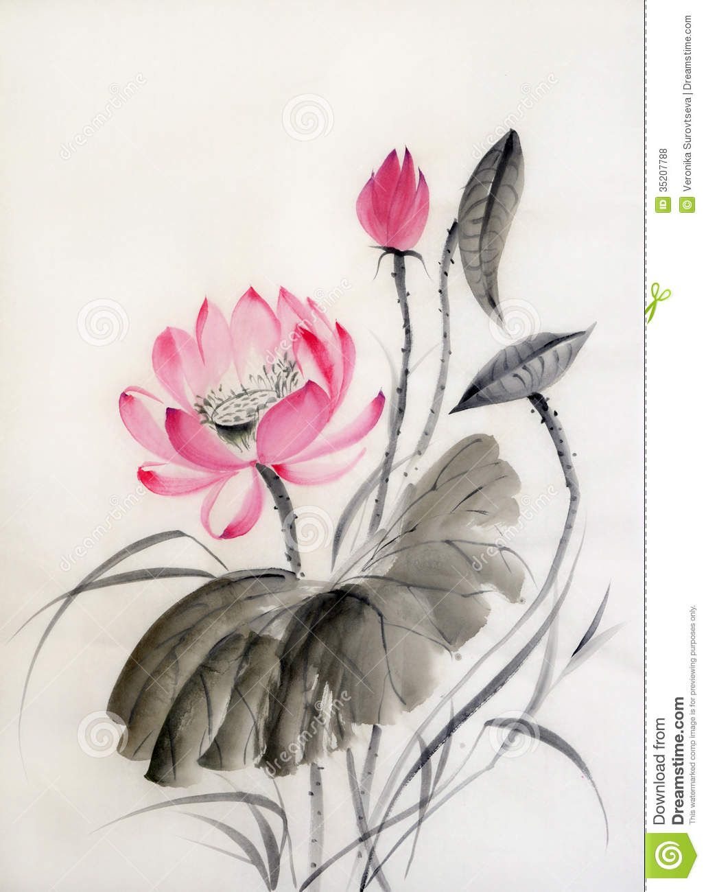 1029x1300 Watercolor Painting Of Lotus Flower Royalty Free Stock Photos - Oriental Watercolor Paintings
