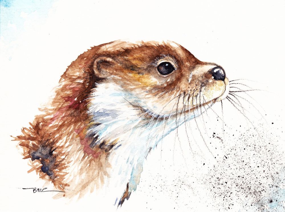 1000x744 Original Watercolour Painting By Be Coventry,animals,realism,otter - Otter Watercolor