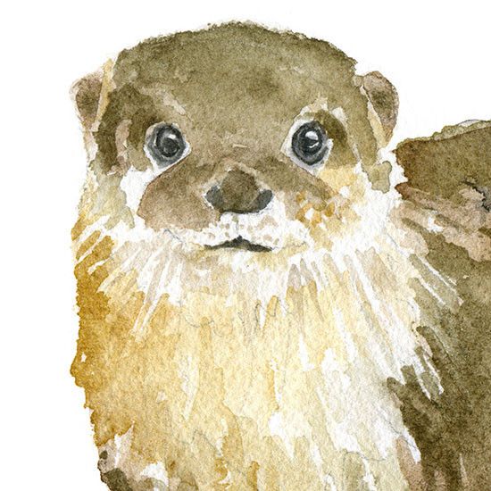 550x550 River Otter Watercolor Craft Ideas River Otter - Otter Watercolor