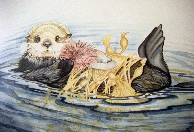 800x546 Sea Otter Watercolor By Houseofchabrier - Otter Watercolor