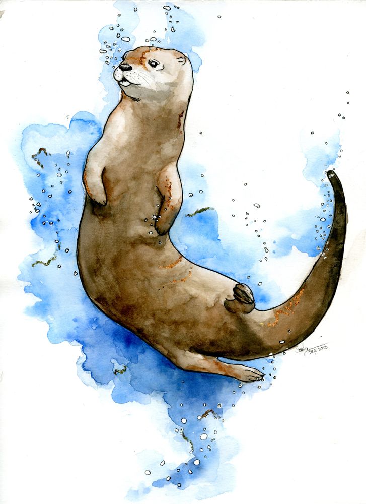 727x1000 The Otter Art, Drawing, Design, Inspirations - Otter Watercolor