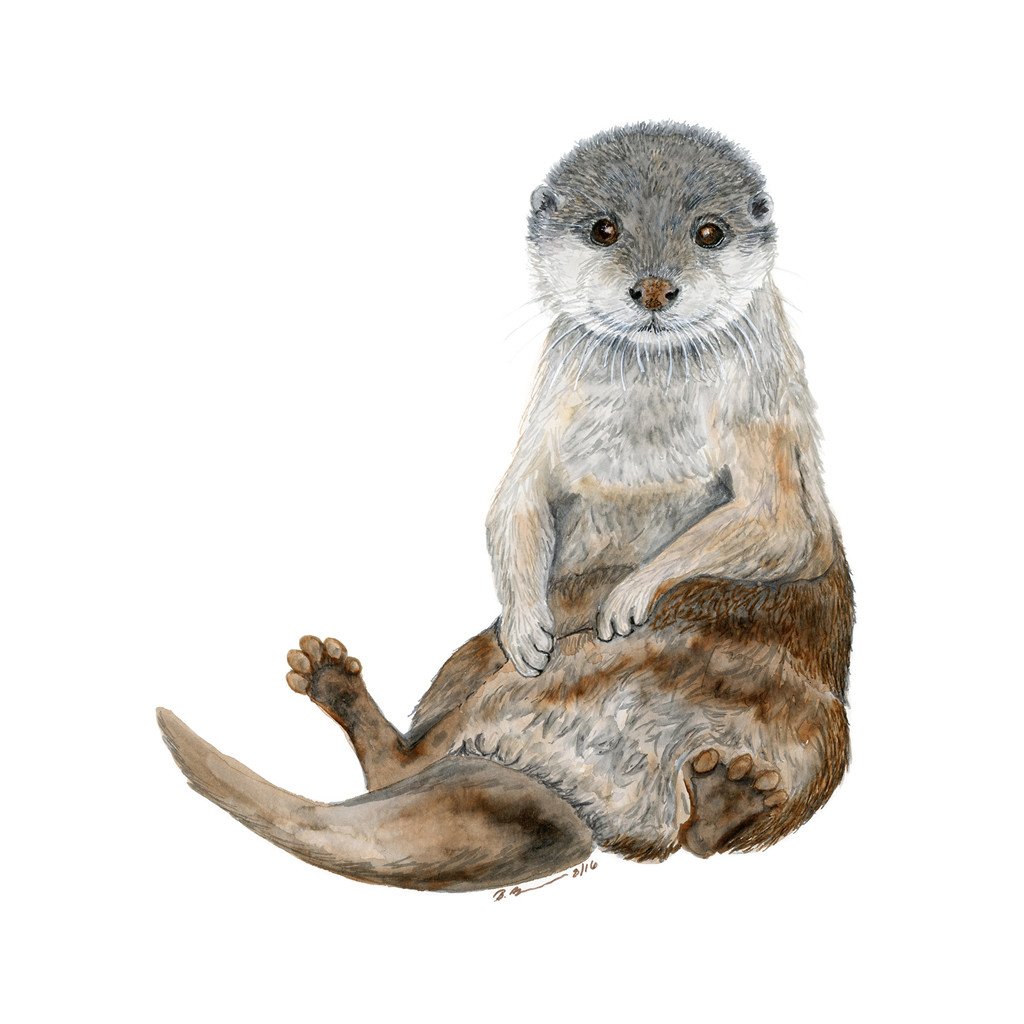 1024x1024 Baby Sea Otter Watercolor Animal Nursery Art Tiny Toes Design - Otter Watercolor