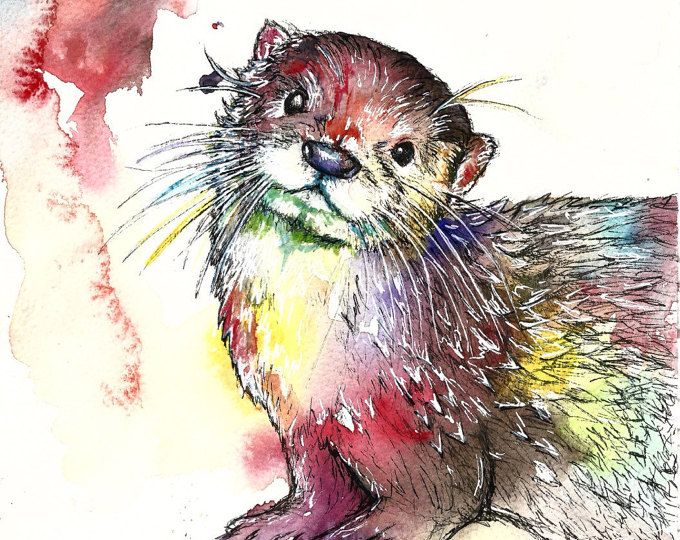 680x540 Delilah The Otter Limited Edition A3 Painting Watercolour Colour - Otter Watercolor