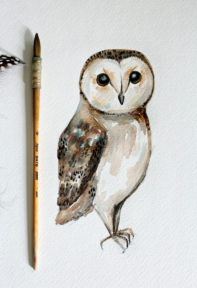 640x933 Diy Owl Watercolor Painting Artwork Ideas Simple - Owl Watercolor