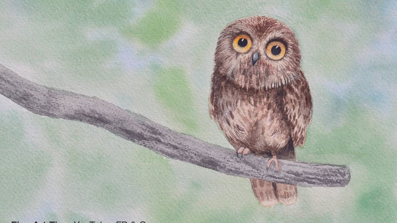 1280x720 How To Paint A Pygmy Owl With Watercolor - Owl Watercolor