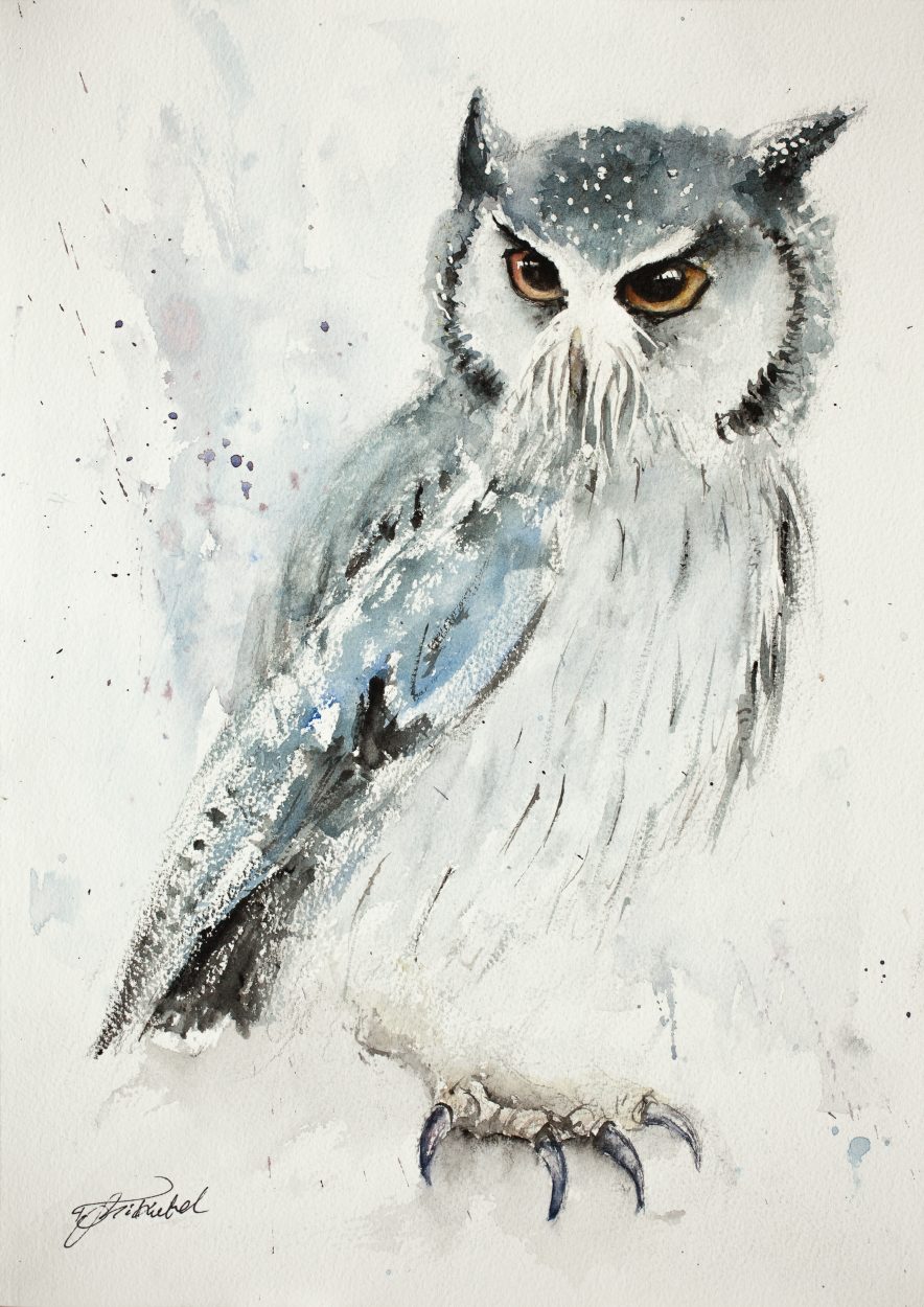884x1250 Owl (Original) - Owl Watercolor