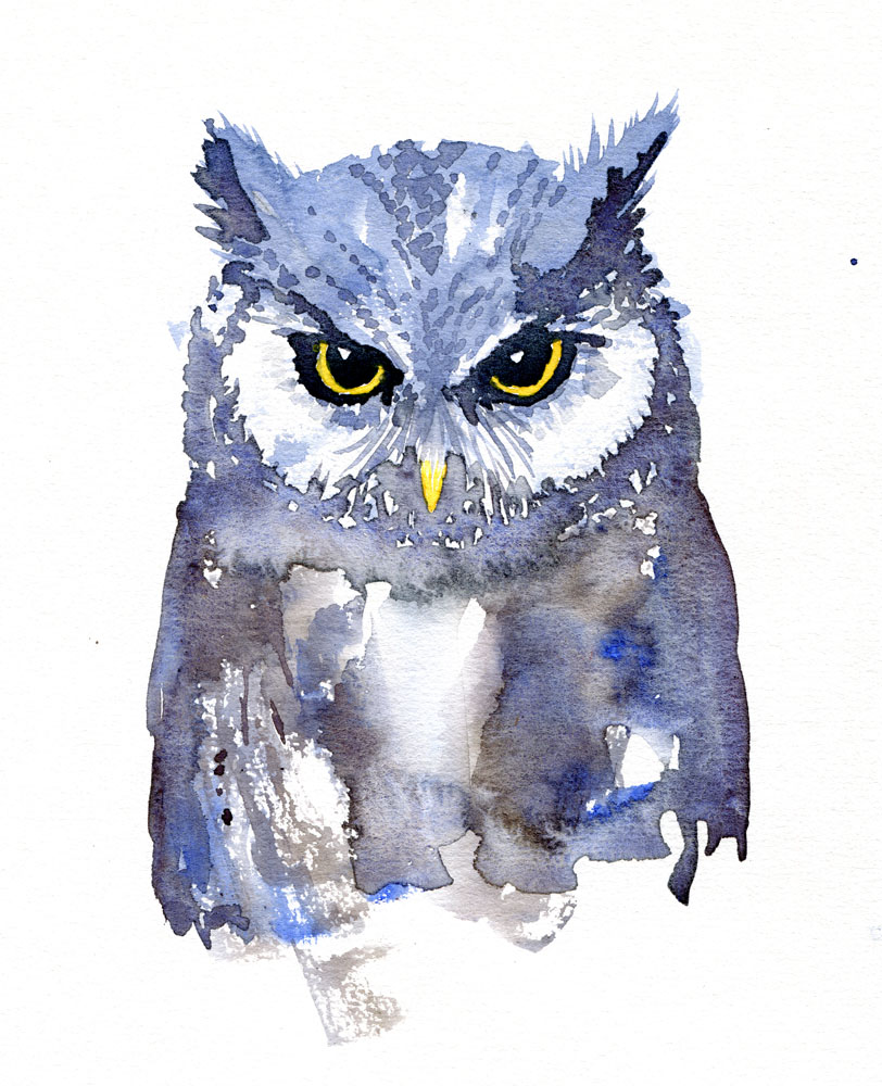 812x1000 Owl Watercolor, Front View The Hiking Artist Project By Frits - Owl Watercolor