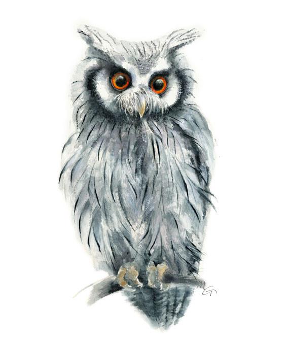 570x670 Owl Watercolor Archival Print Mira Guerquin Watercolors - Owl Watercolor