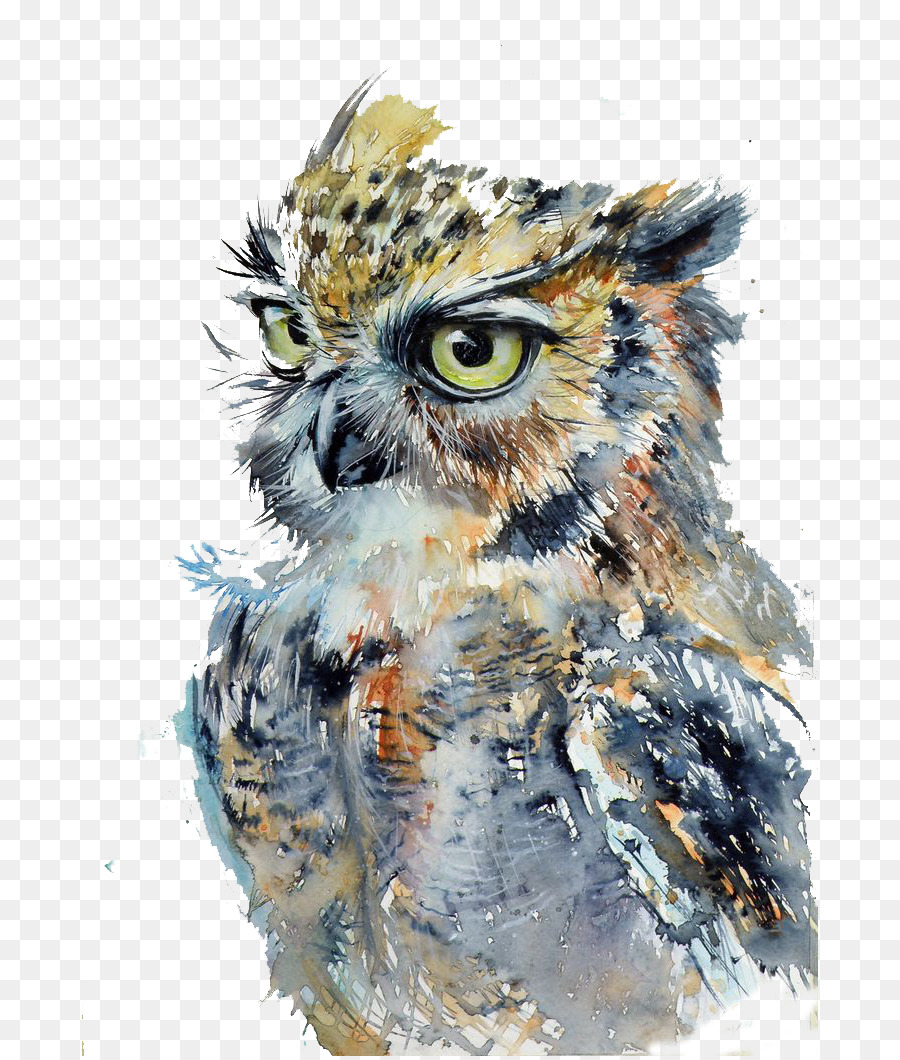 900x1060 Owl Watercolor Painting Drawing Art - Owl Watercolor