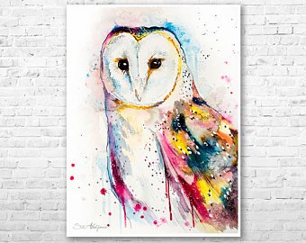 340x270 Owl Watercolor Etsy - Owl Watercolor