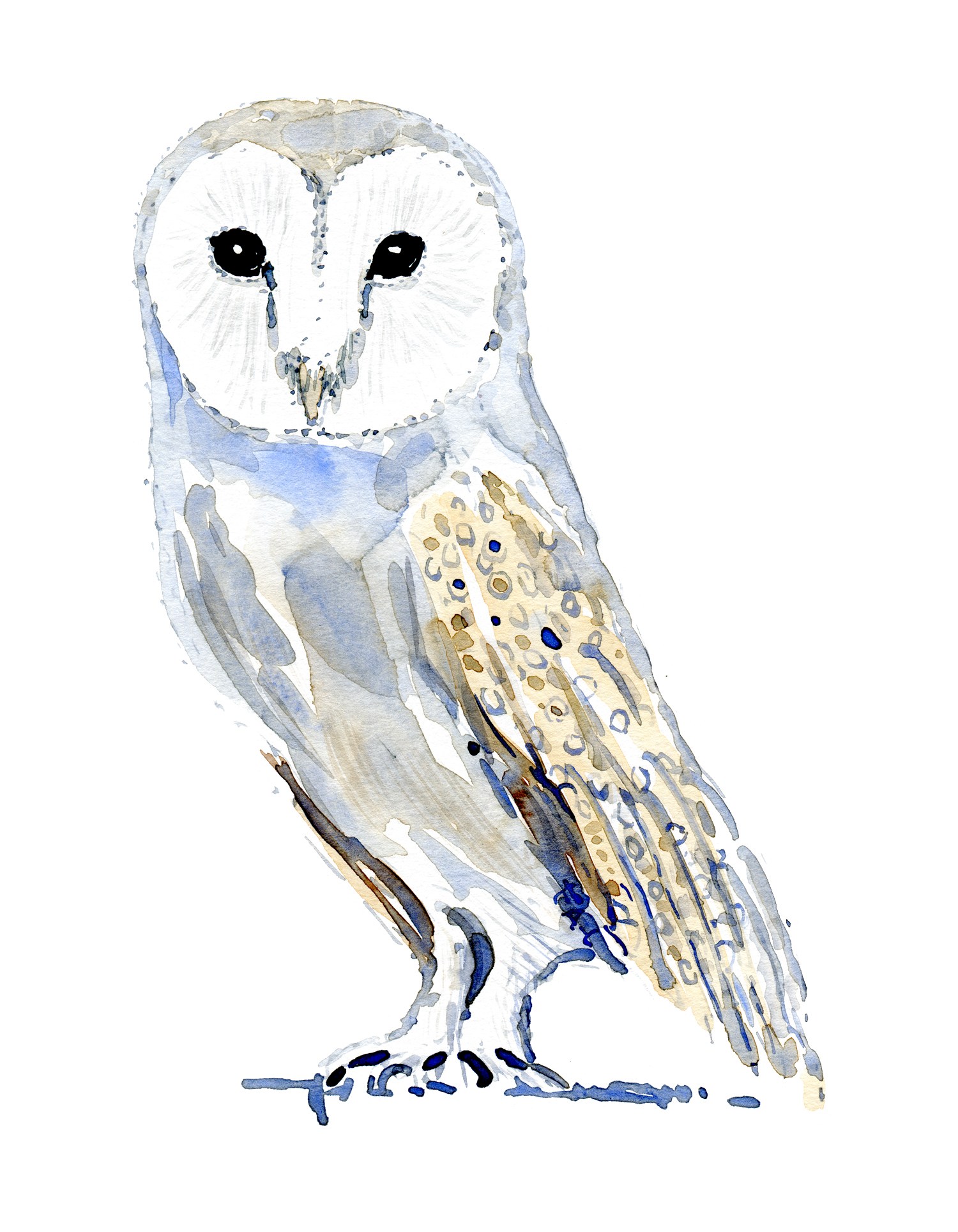 1500x1929 Owls Five Watercolor Paintings Frits Ahlefeldt - Owl Watercolor