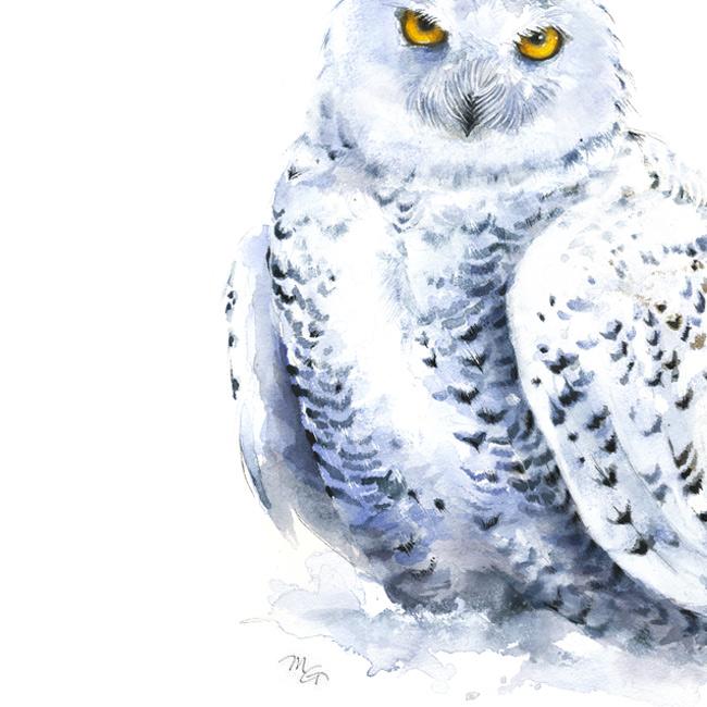 650x650 Snowy Owl Watercolor Archival Print Mira Guerquin Watercolors - Owl Watercolor