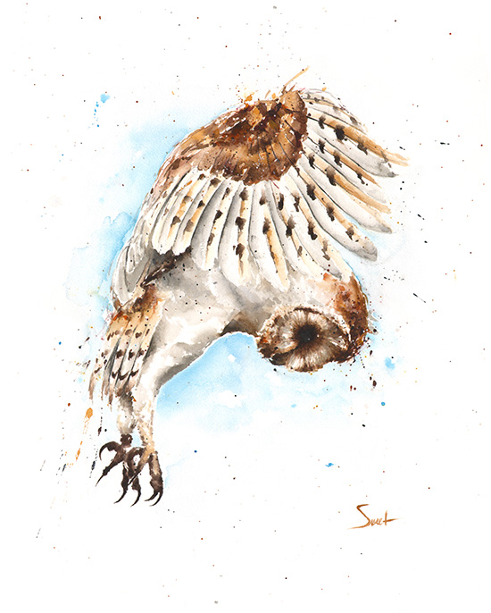 550x686 Barn Owl Watercolor Print Watercolor Animal Paintings - Owl Watercolor
