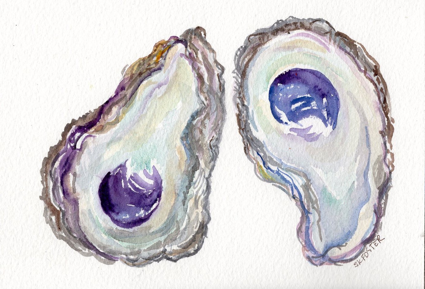 1389x944 Oyster Shells Original Watercolor Painting 5 X 7 Oyster Etsy - Oyster Watercolor