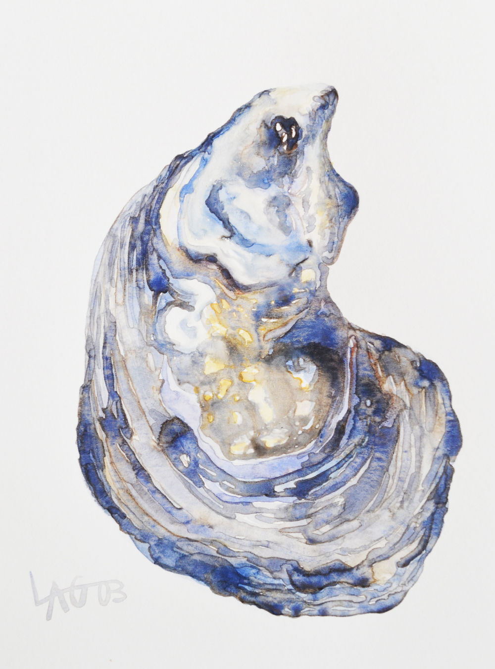 Oyster Watercolor at PaintingValley.com | Explore collection of Oyster