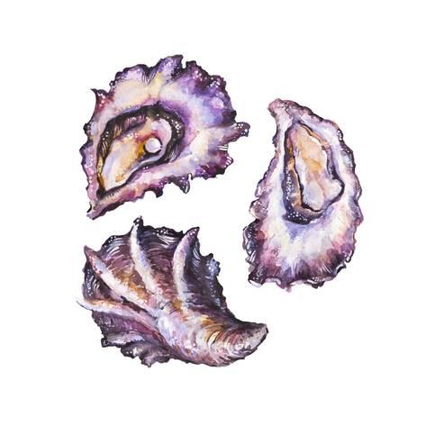 473x473 Watercolor Oyster Set Prints By Tanycya - Oyster Watercolor