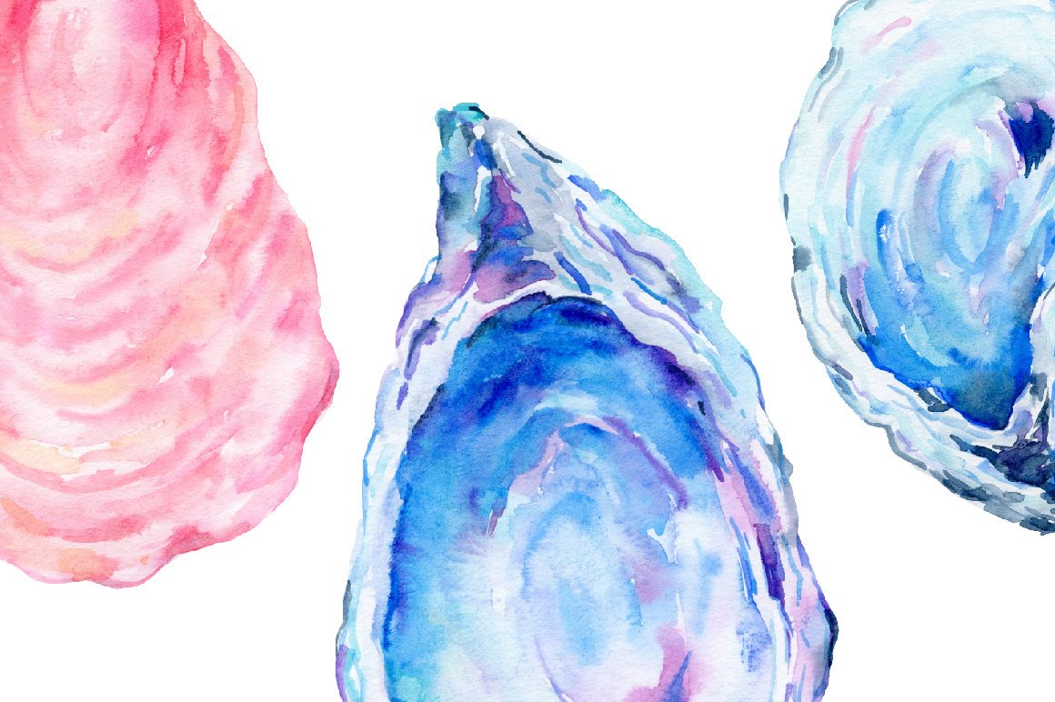 1160x772 Watercolor Clipart Oyster Shells, Blue, Purple And Pink Oyster - Oyster Watercolor