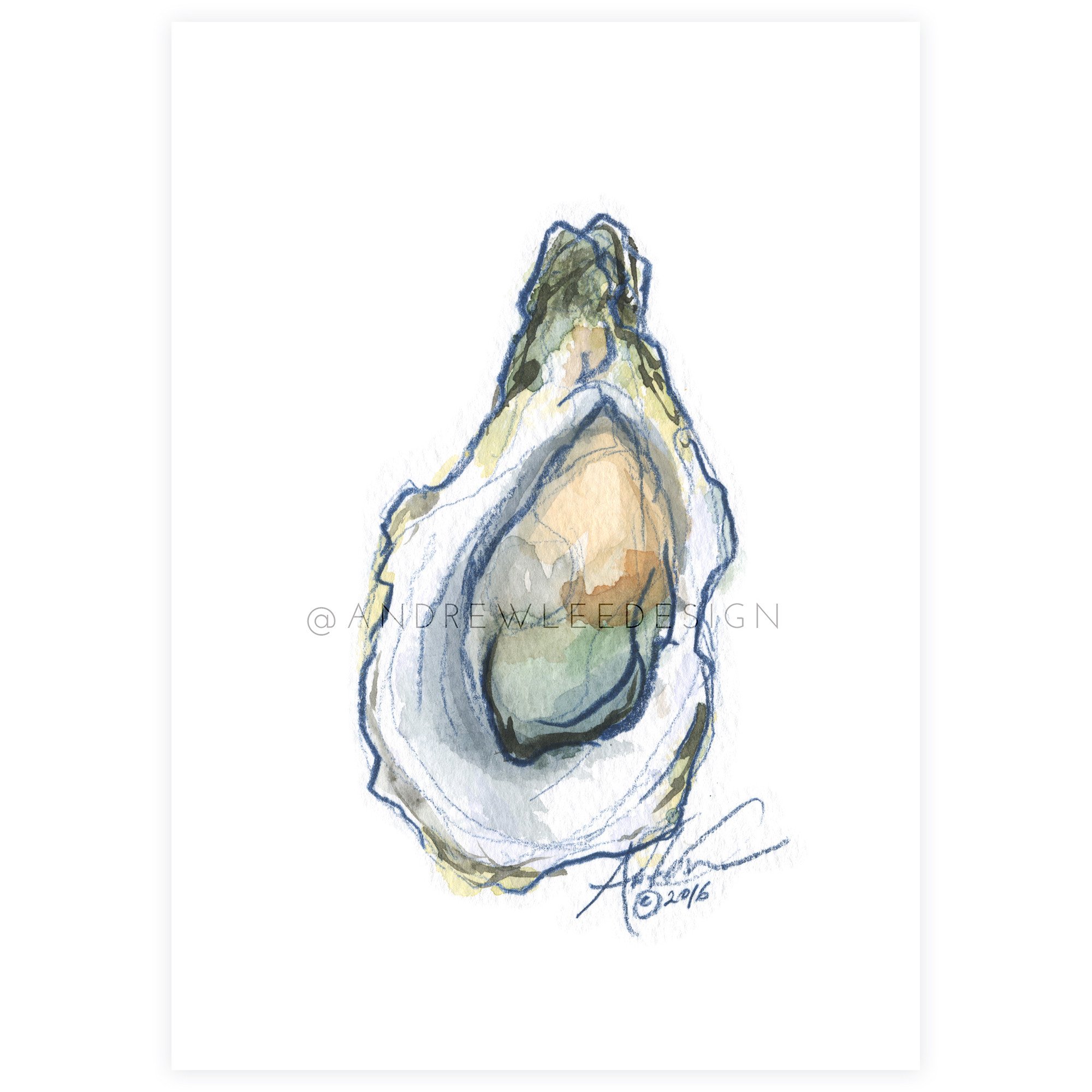 Oyster Watercolor at PaintingValley.com | Explore collection of Oyster