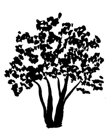 386x485 Paint A Sunset In Watercolor - Painting Background Trees In Watercolor