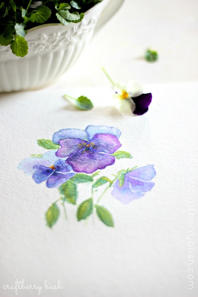682x1024 Pansiesviolas And Some Watercolor - Painting Pansies In Watercolour