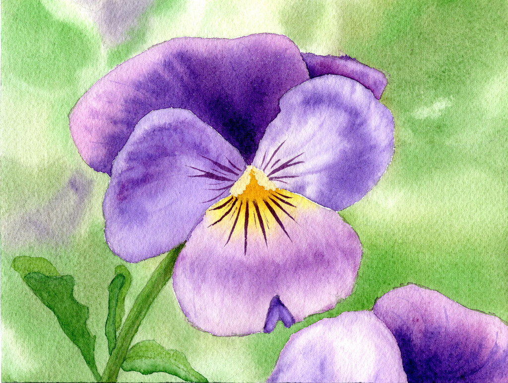 1024x771 Floral Art Watercolor - Painting Pansies In Watercolour