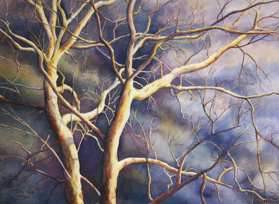 570x417 Sycamore Tree Stormy Sky Watercolor Painting Print By Cathy Etsy - Painting Stormy Skies Watercolor