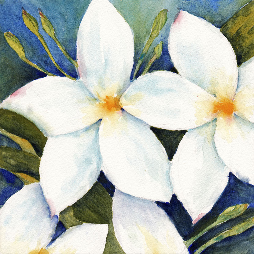 831x831 Live Cheap And Make Art Usa A Painting A Day - Painting White Flowers In Watercolor