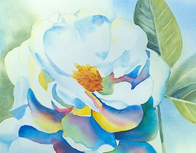 640x500 Painting A White Rose Flower In Watercolor - Painting White Flowers In Watercolor