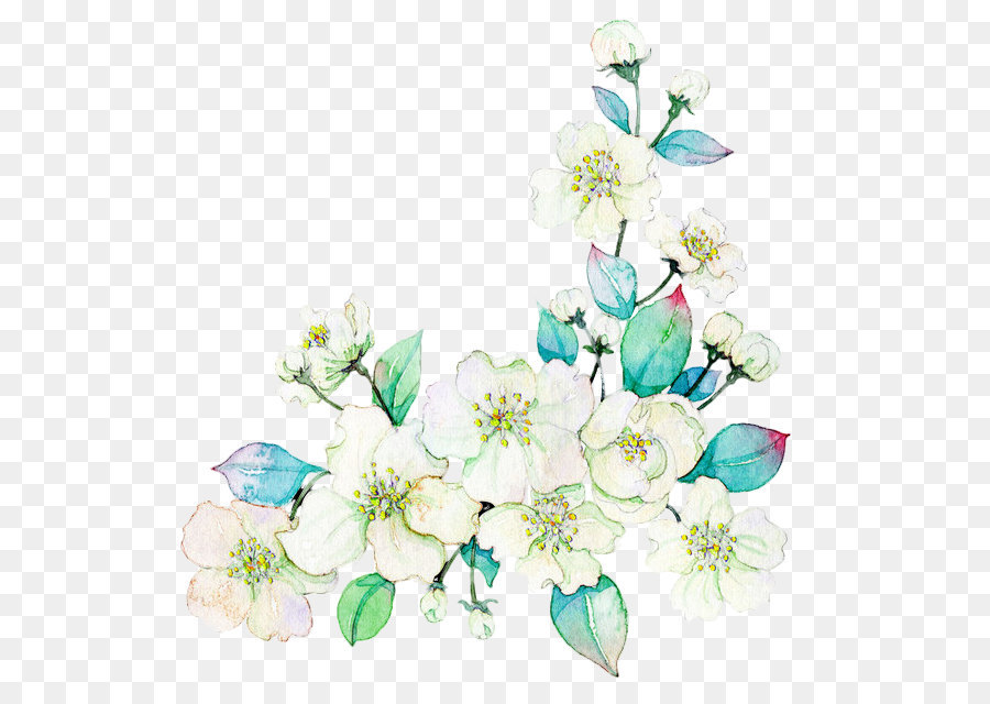 900x640 Watercolor Painting Flower Download Illustration - Painting White Flowers In Watercolor