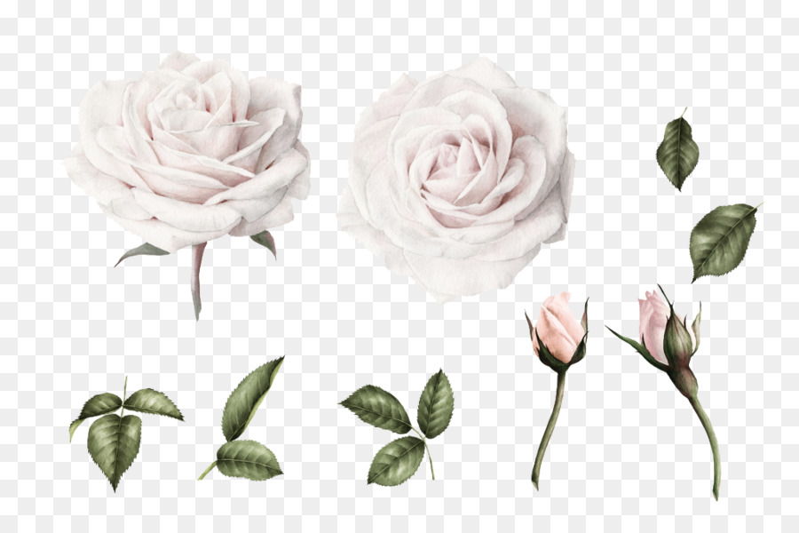 900x600 Wedding Invitation Watercolor Painting Flower White Clip Art - Painting White Flowers In Watercolor