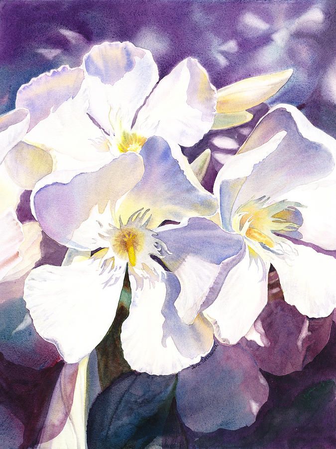 675x900 White Oleander Painting - Painting White Flowers In Watercolor