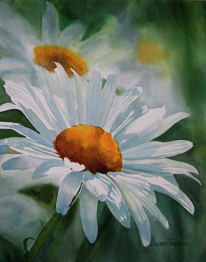 707x900 White Daisies Painting By Sharon Freeman - Paintings Of Daisies In Watercolor
