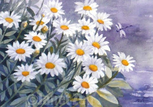 500x351 Zeh Original Art Blog Watercolor And Oil Paintings Daisies And - Paintings Of Daisies In Watercolor
